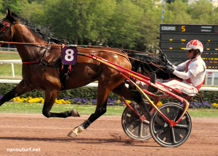 Dezcourse Couplé Incontournable