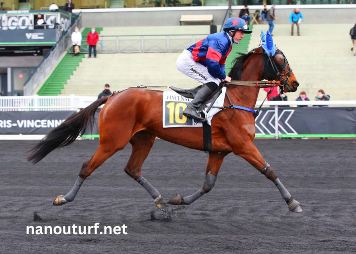 Base Couplé Gagnant