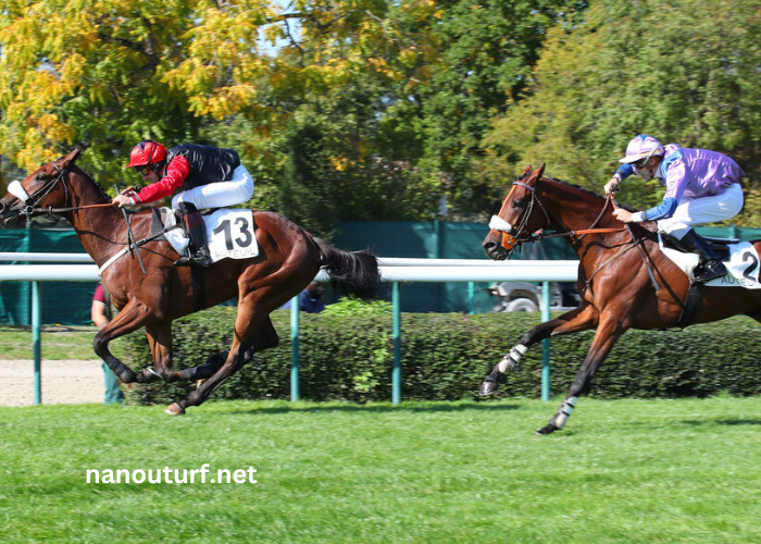 Trio Du Quinte