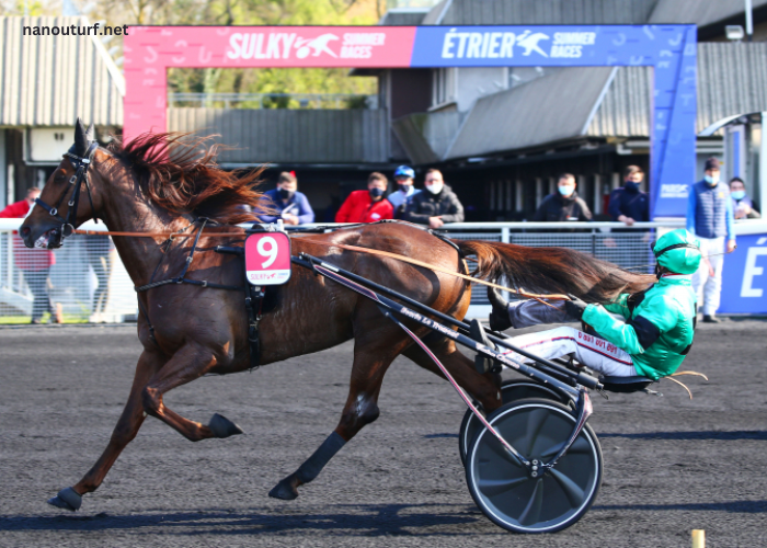 Trio Gagnant Du Jour