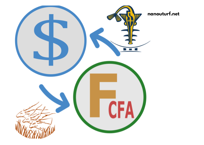 Convertir Dollar en Franc Cfa