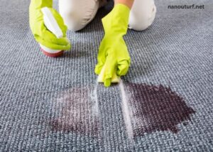 Carpet Cleaning Woes? Hire the Best Experts | Carpet Bright UK