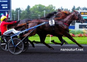 Cheval DE Base Prono (1)