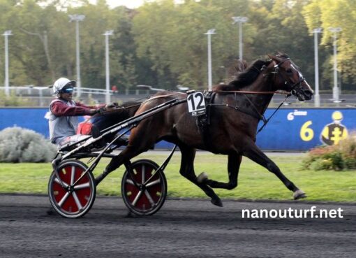 Tierce100pour100 Sur