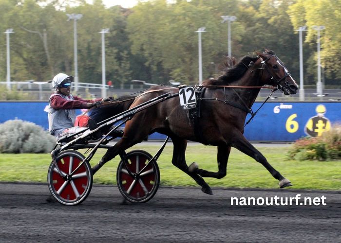 Tierce100pour100 Sur (1)