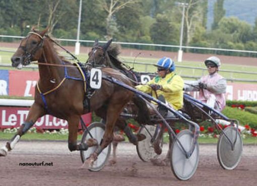 Trio Tiercé Vip