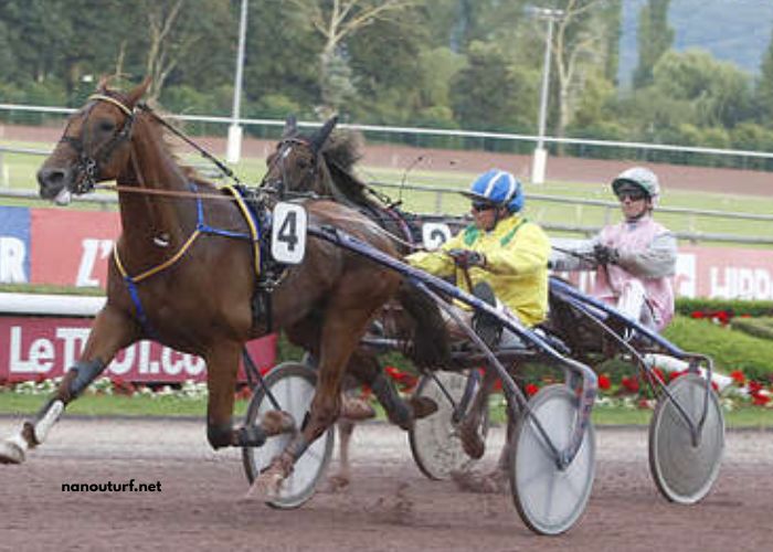Trio Tiercé Vip