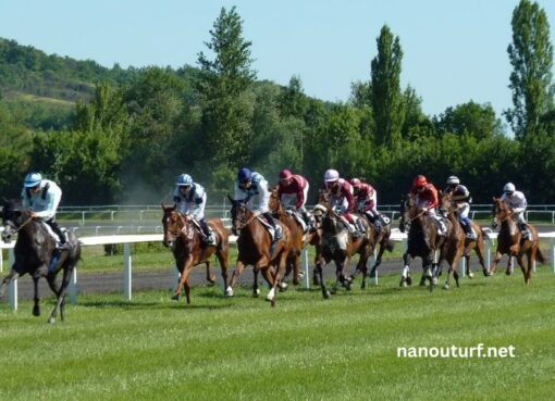 Lonab Journal Hippique