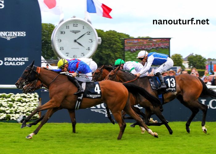 Quinte Gagnant Vip (1)