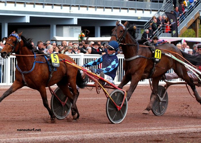 Lebosse Du Turf